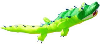 Alligator
