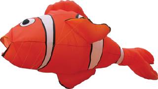 Clown Fish