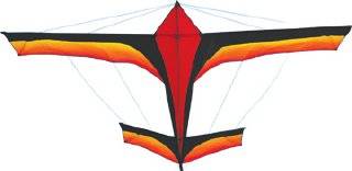 Airplane Kite