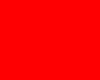 Ripstop with Adhesive - Red