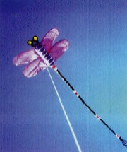 Dragon Fly