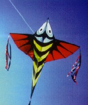 Flying Fish