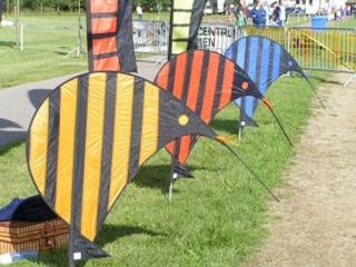 Kiwi Banners