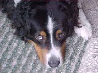 Wilson!